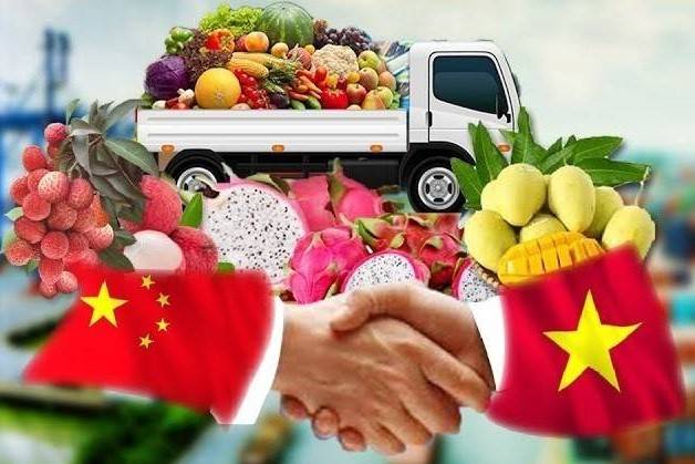 Thương mại Việt Nam - Trung Quốc hướng mốc 300 tỷ USD