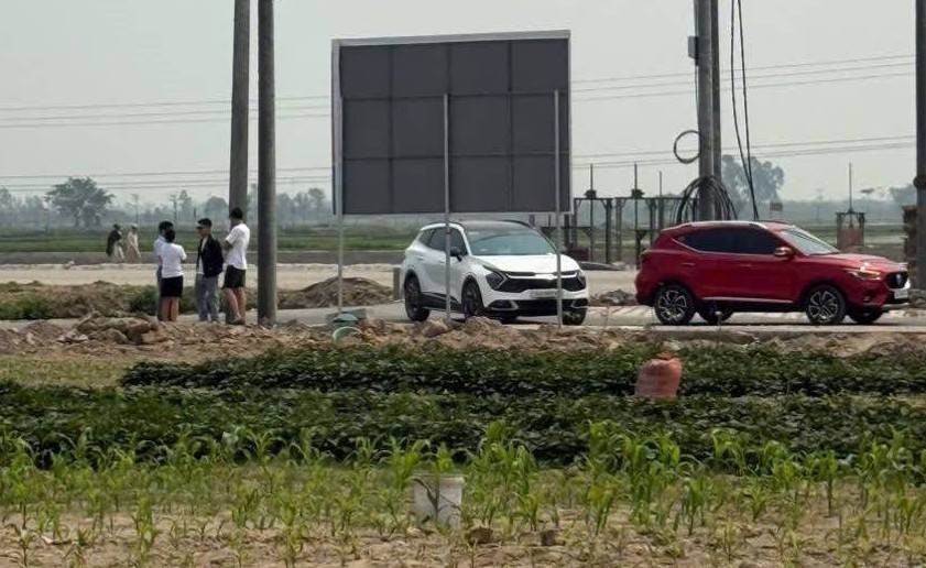 Chung cư dẫn dắt, đất nền “nhạy” với biến động, nhà riêng phân hóa theo áp lực giá