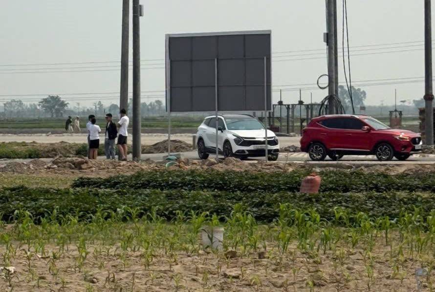 Chung cư dẫn dắt, đất nền “nhạy” với biến động, nhà riêng phân hóa theo áp lực giá