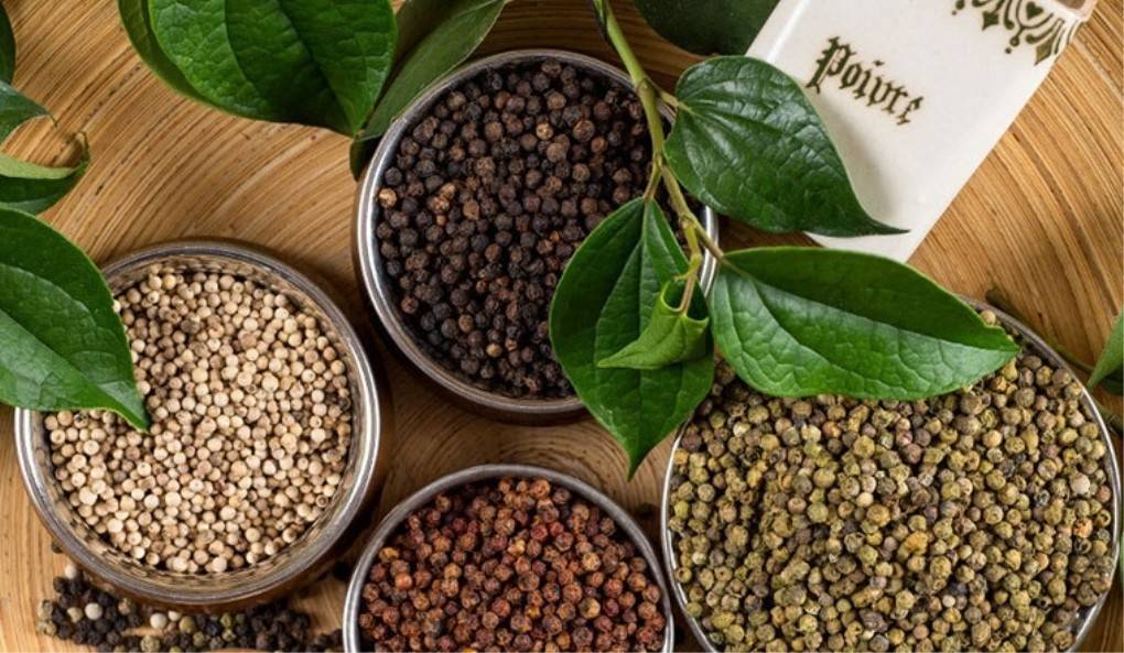 Bẫy giao dịch tại Pakistan, doanh nghiệp xuất khẩu hồ tiêu Việt mất gần 16 tỉ đồng