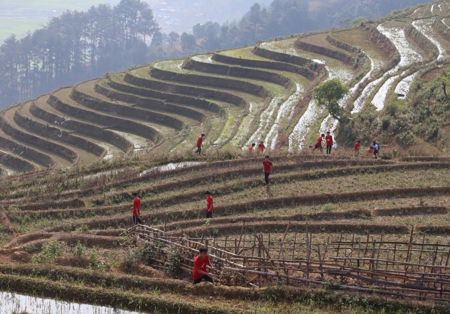Lào Cai: Mù Cang Chải mùa nước đổ: Trải nghiệm chạy giữa ruộng bậc thang kỳ vĩ Tây Bắc