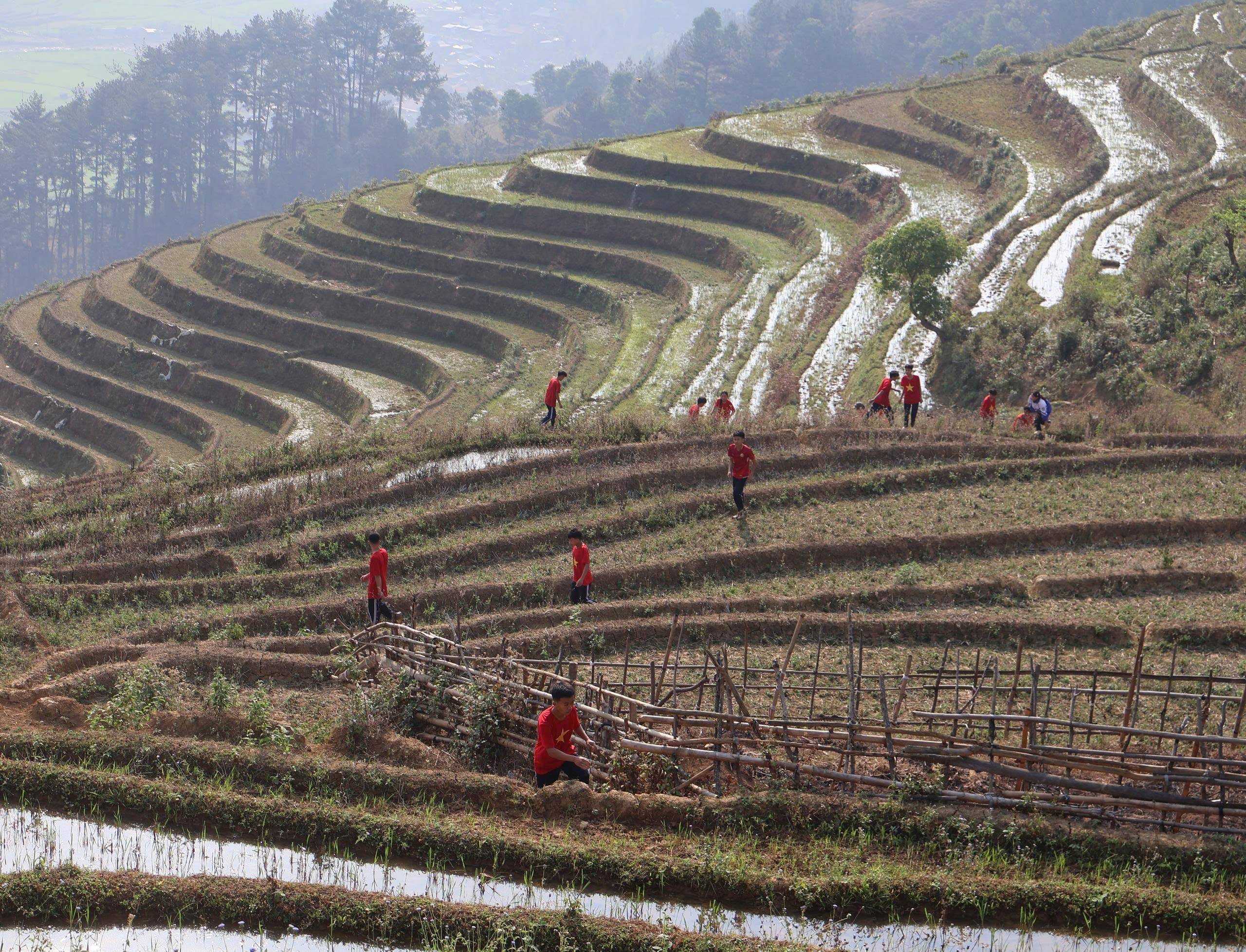 Giải chạy leo ruộng bậc thang Mù Cang Chải: Trải nghiệm độc bản giữa mùa nước đổ