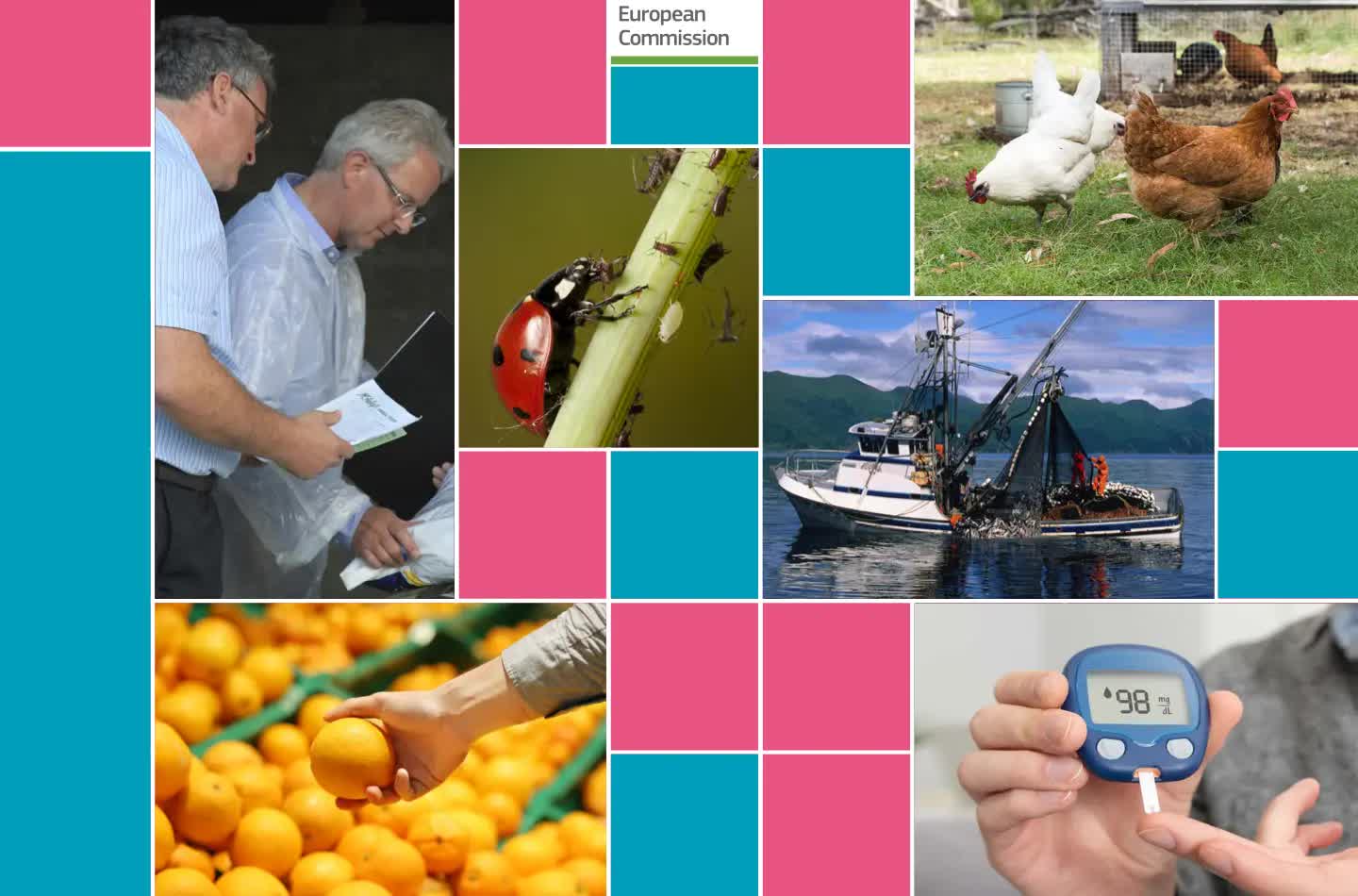 40 thông báo SPS từ WTO: Doanh nghiệp Việt đối mặt áp lực tuân thủ mới