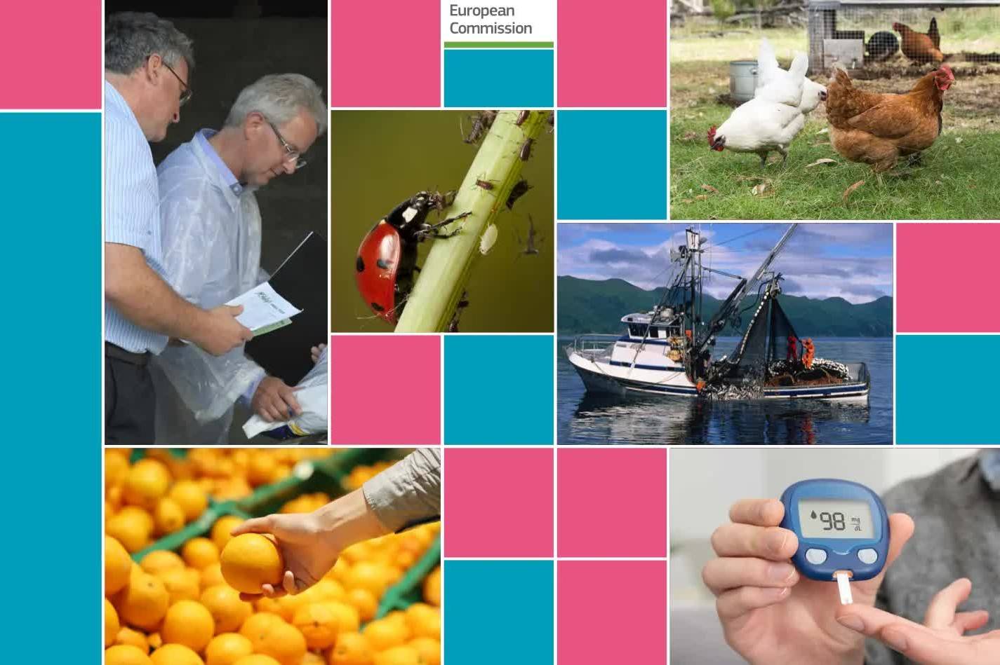 40 thông báo SPS từ WTO: Doanh nghiệp Việt đối mặt áp lực tuân thủ mới