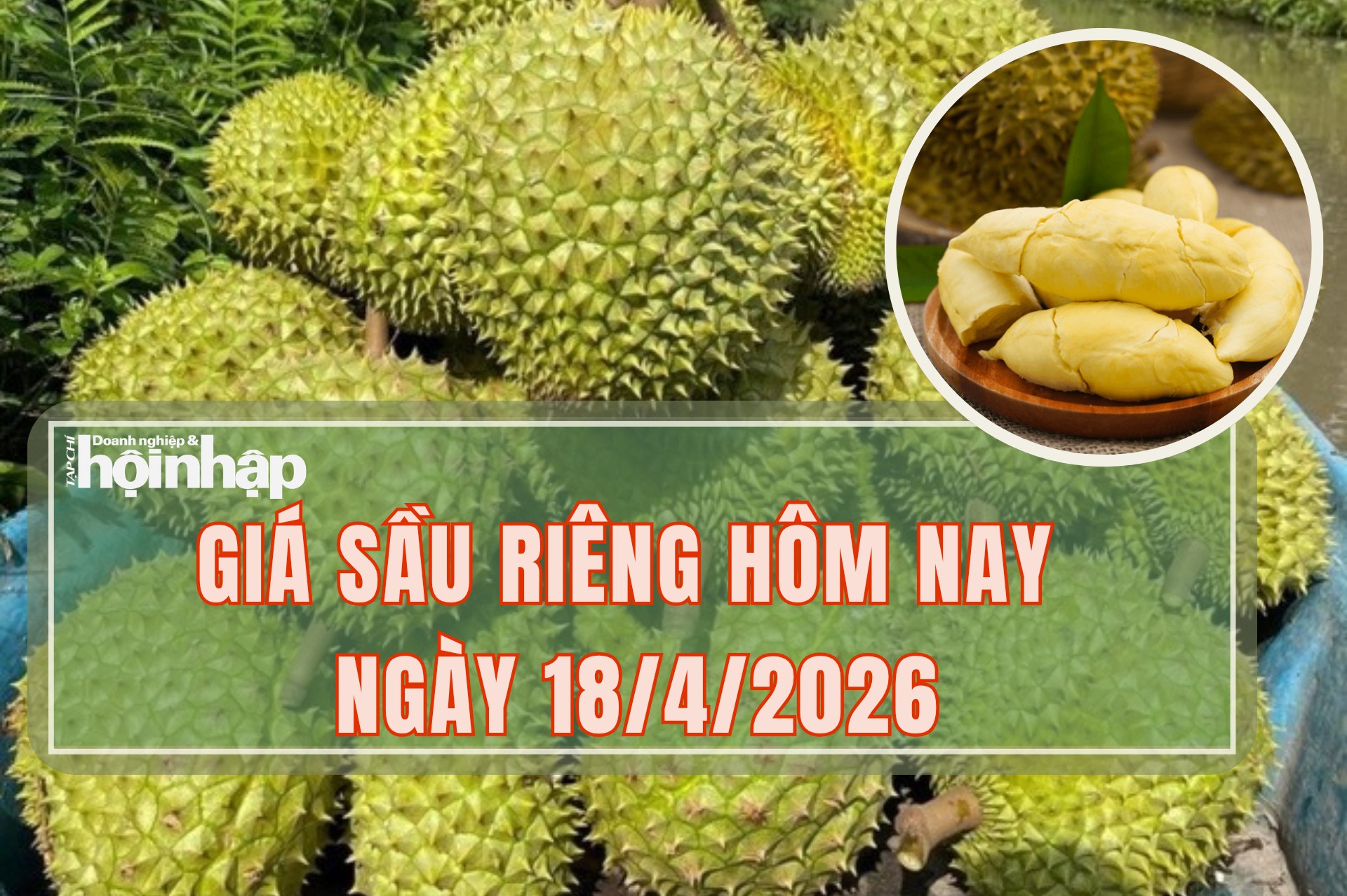 Giá sầu riêng hôm nay 18/4: Sầu riêng Thái tăng giá trở lại