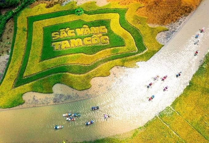 Tuần Du lịch Ninh Bình 2026: Đánh thức mùa vàng Tam Cốc – Tràng An, bứt tốc định vị điểm đến di sản