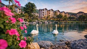 Vinhomes Hải Vân Bay bùng nổ giao dịch trong ngày đầu siêu chính sách “khóa trần” lãi suất 6%/năm trong 5 năm có hiệu lực