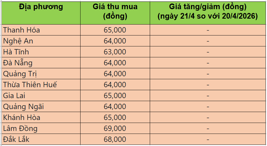Giá heo hơi hôm nay 21/4/2026: Giá heo hơi đi ngang trên cả nước