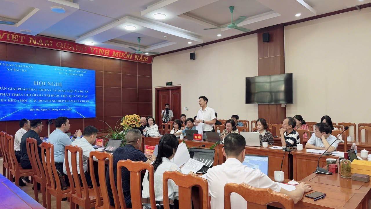 Lào Cai: Bắc Hà thúc đẩy chuỗi giá trị dược liệu quý, mở cơ hội hợp tác cho doanh nghiệp