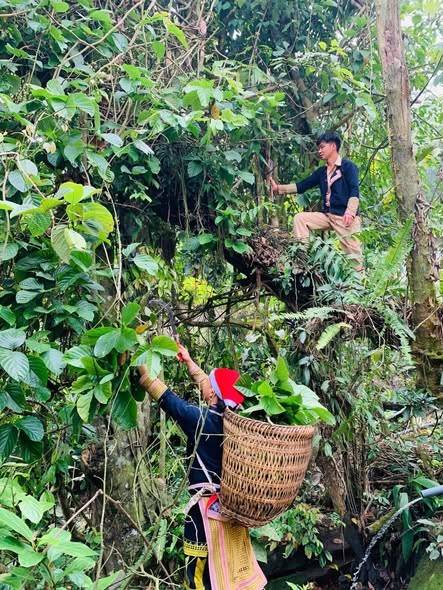 Phát huy vai trò đảng viên trong phát triển du lịch cộng đồng ở vùng cao Lào Cai