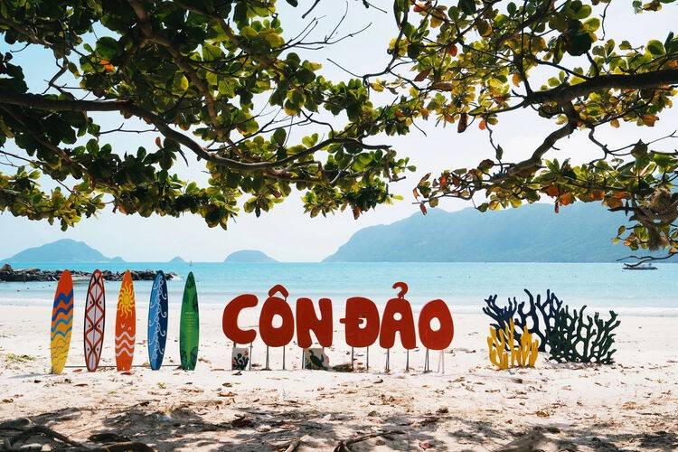 Côn Đảo được vinh danh top điểm đến trải nghiệm thả rùa biển hàng đầu thế giới