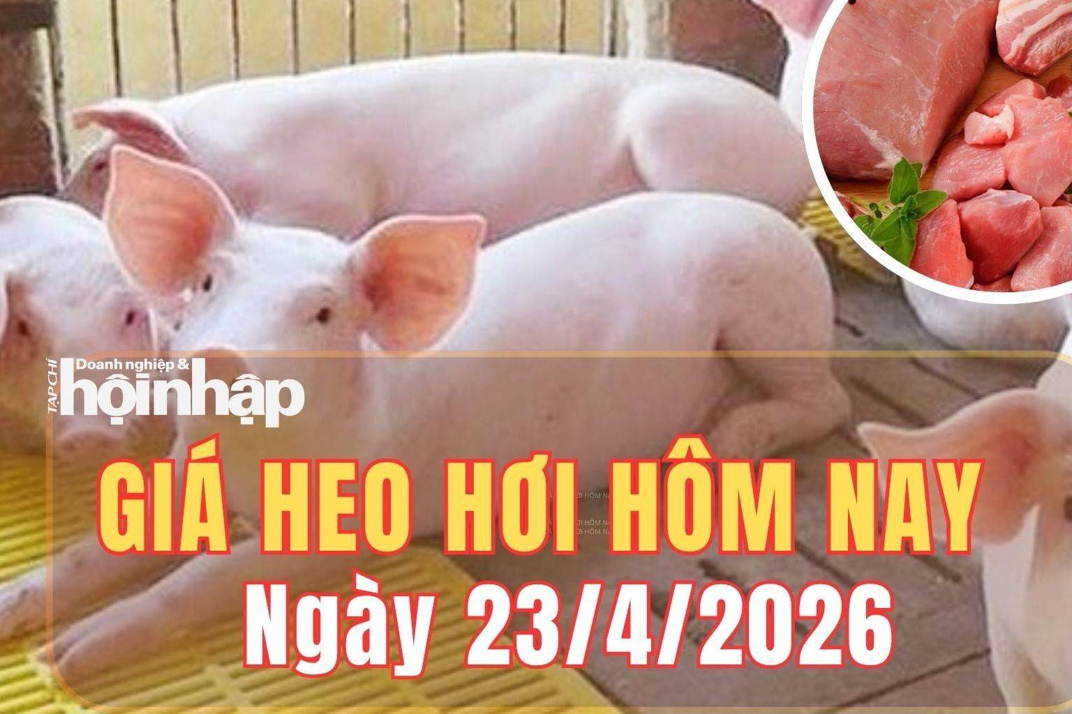 Giá heo hơi hôm nay 23/4/2026: Giá heo hơi đi ngang trên cả nước, Cần Thơ nhích nhẹ 1.000 đồng/kg