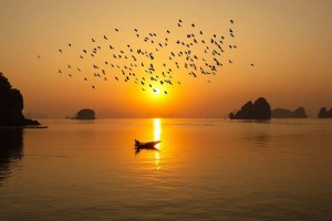 Vịnh Bái Tử Long vào top kỳ quan Đông Nam Á: Lợi thế từ vẻ đẹp nguyên sơ