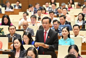 Quốc hội bàn ưu đãi xe điện: Không thể thiếu cơ chế thu hồi pin thải