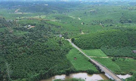 Hai tuyến cao tốc qua Lâm Đồng: Hơn 3.300 tỷ đồng đã giải ngân, đẩy nhanh tiến độ giải phóng mặt bằng