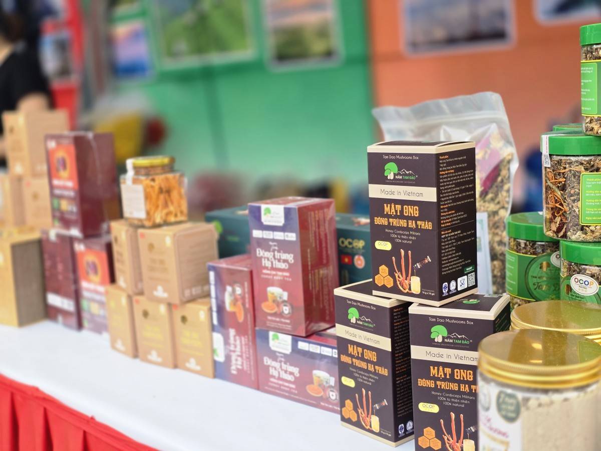 Sắc màu Du lịch Đất Tổ: Kích cầu mạnh mẽ mùa lễ hội 2026