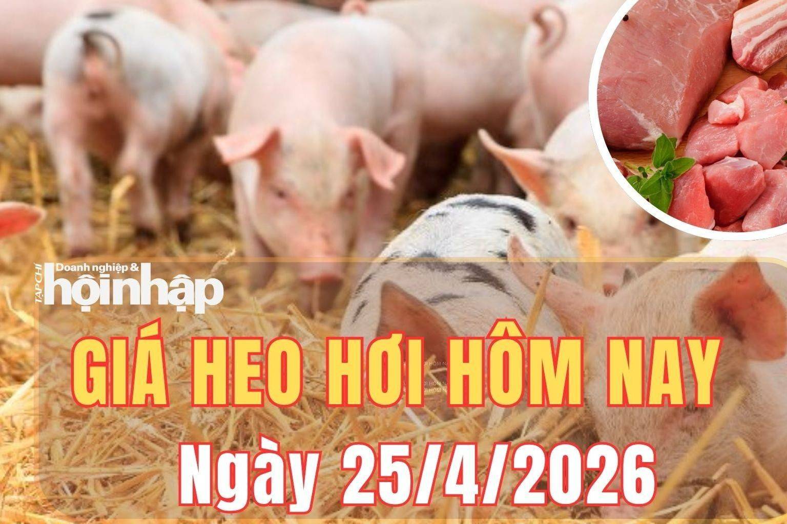 Giá heo hơi hôm nay 25/4/2026: Giá heo hơi đi ngang toàn quốc, chỉ tăng nhẹ tại Lai Châu và Cần Thơ
