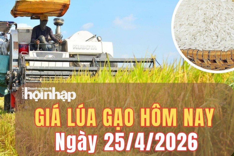 Giá lúa gạo hôm nay 25/4/2026: Giá lúa gạo trong nước ổn định, thị trường xuất khẩu trái chiều