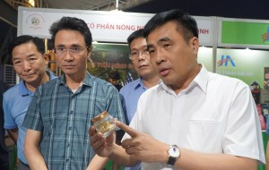 Lai Châu thúc đẩy nông nghiệp hàng hóa, dược liệu theo hướng kinh tế xanh