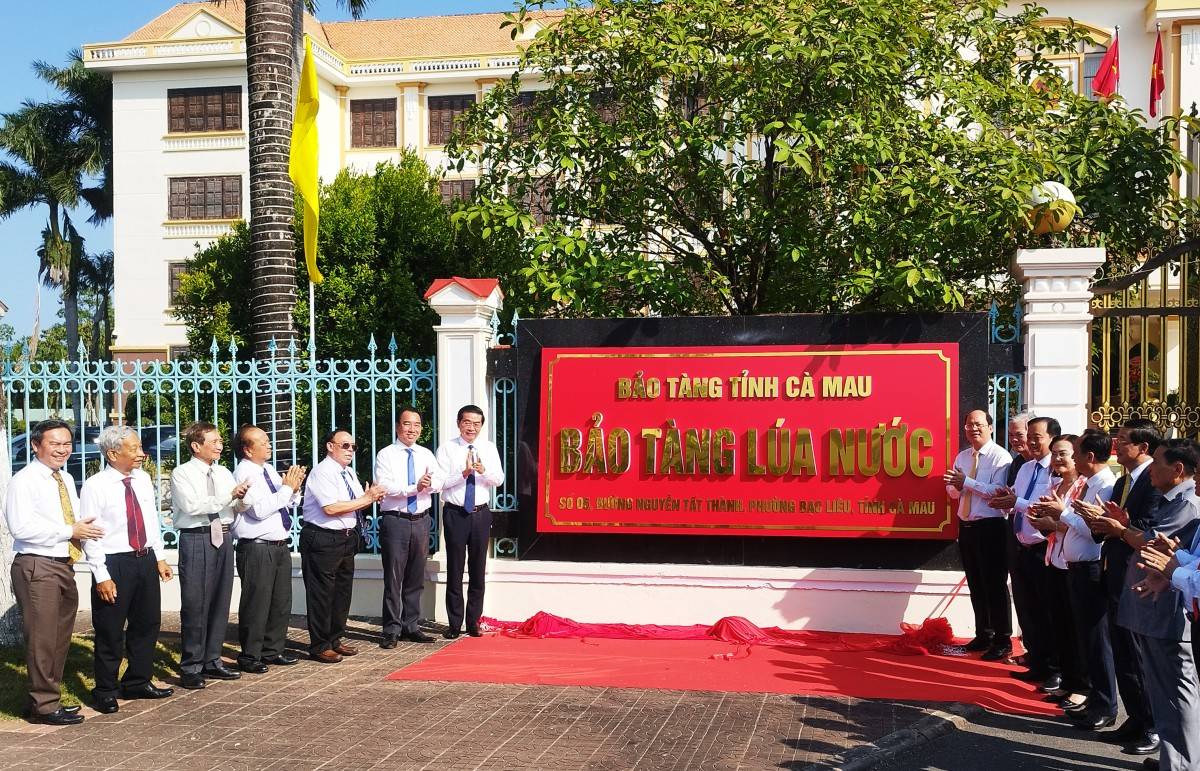 Khi câu chuyện về cây lúa được kể từ vùng đất mặn