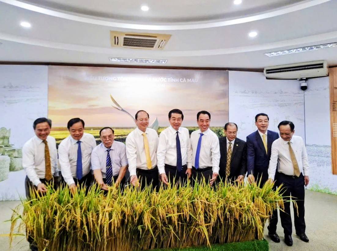 Khi câu chuyện về cây lúa được kể từ vùng đất mặn