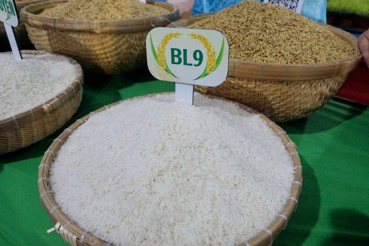 Cà Mau hướng đến nền kinh tế nông nghiệp năng động