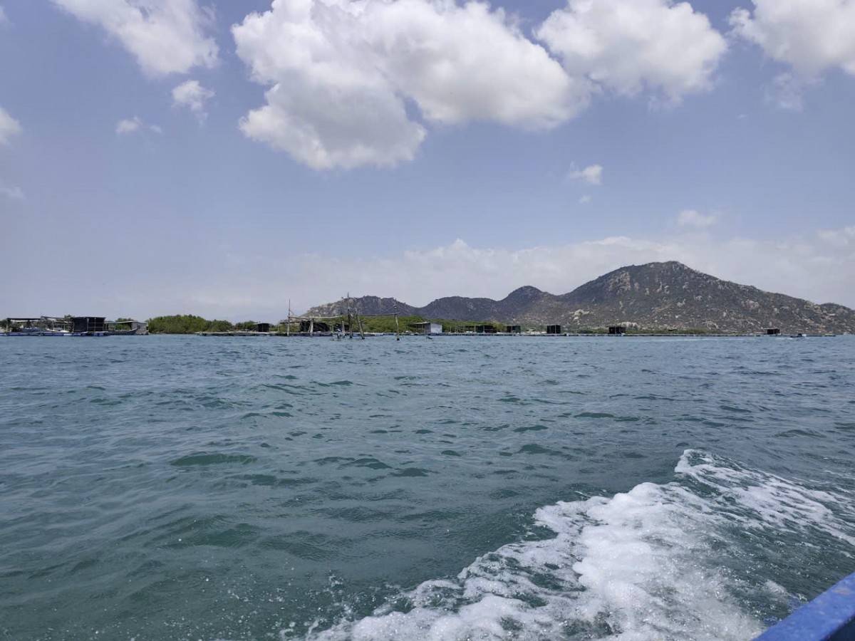 Khánh Hòa: Khu du lịch Quốc gia Ninh Chữ cần làm gì để 