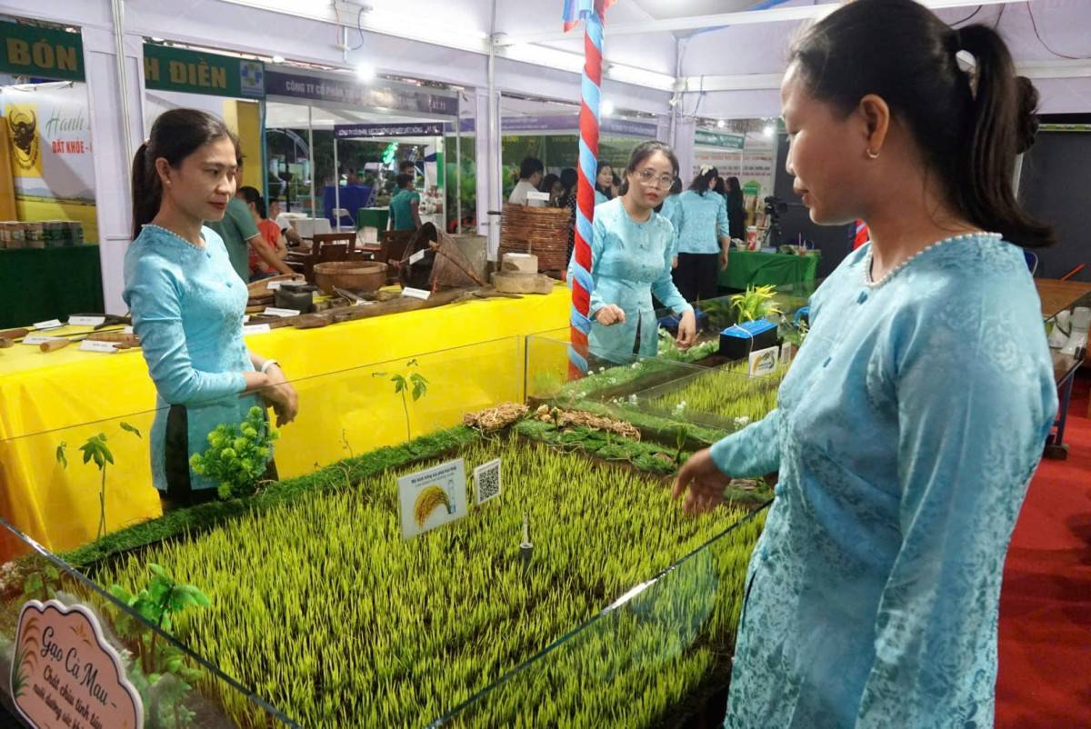 Mô hình trồng lúa phát thải thấp. (Ảnh: Uyển Nhi)