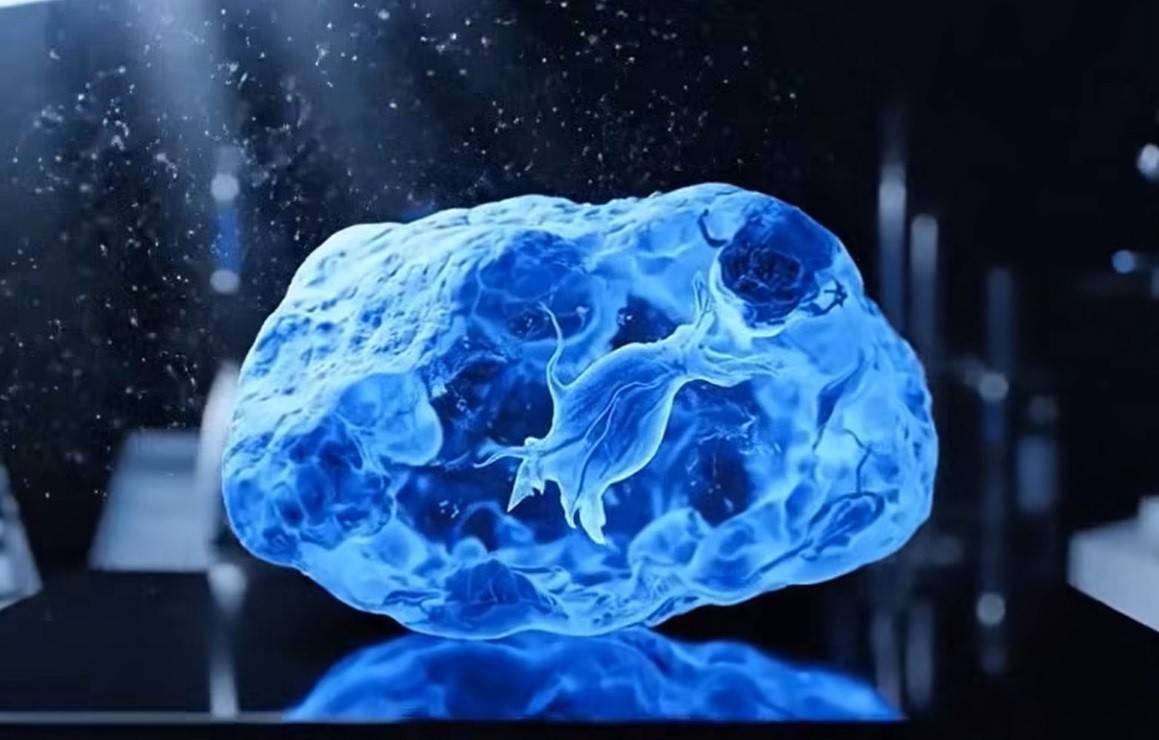 Bí mật của hổ phách