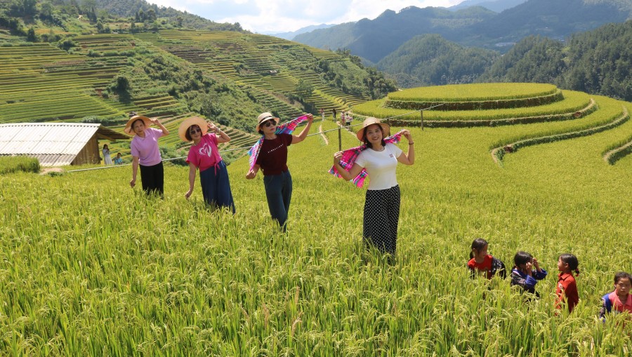 Lào Cai: Púng Luông đánh thức di sản ruộng bậc thang thành “mỏ vàng” du lịch
