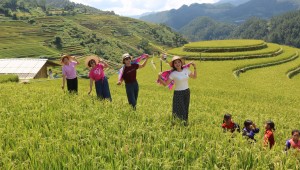 Lào Cai: Púng Luông đánh thức di sản ruộng bậc thang thành “mỏ vàng” du lịch