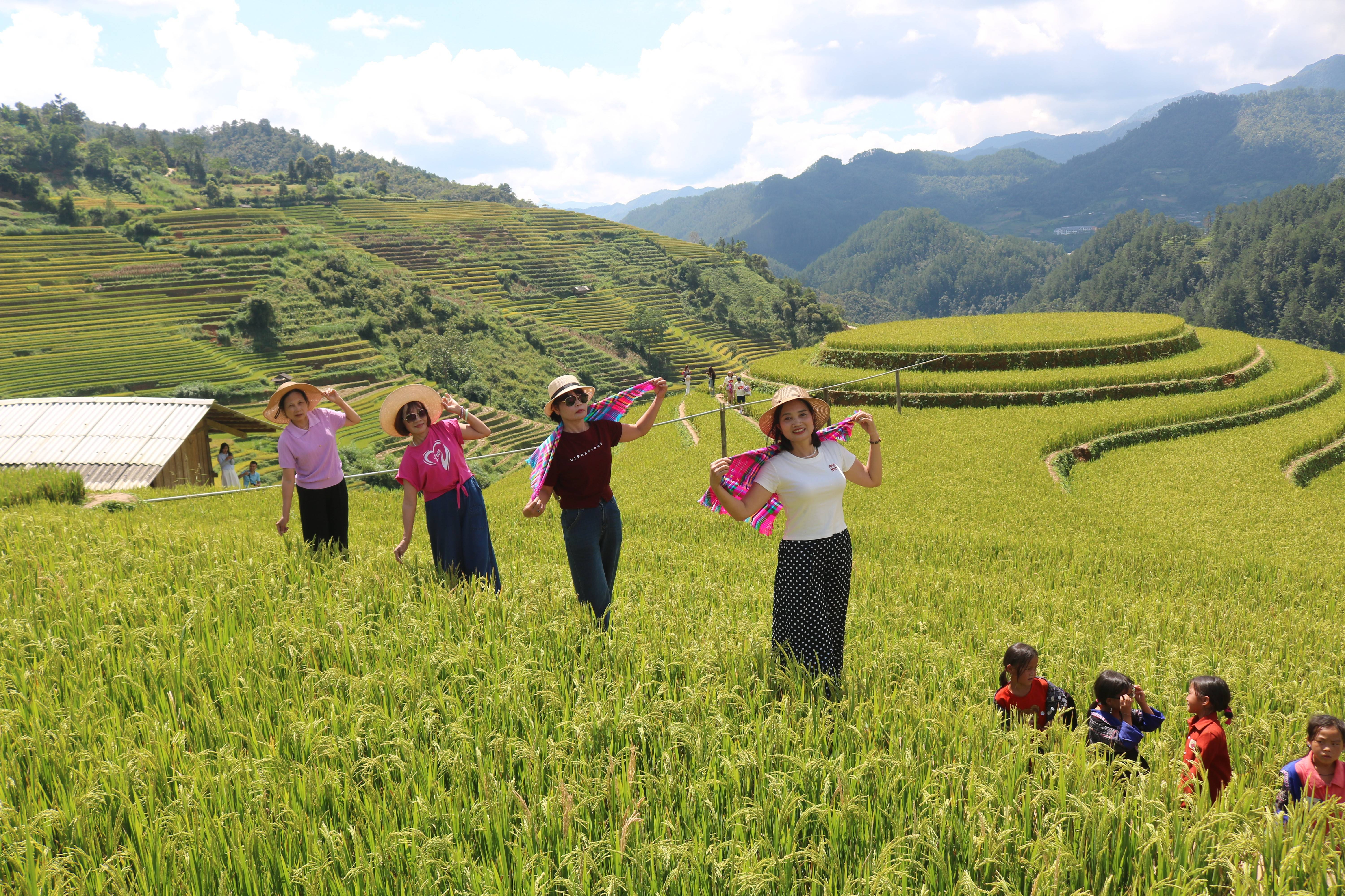 Lào Cai: Púng Luông đánh thức di sản ruộng bậc thang thành “mỏ vàng” du lịch