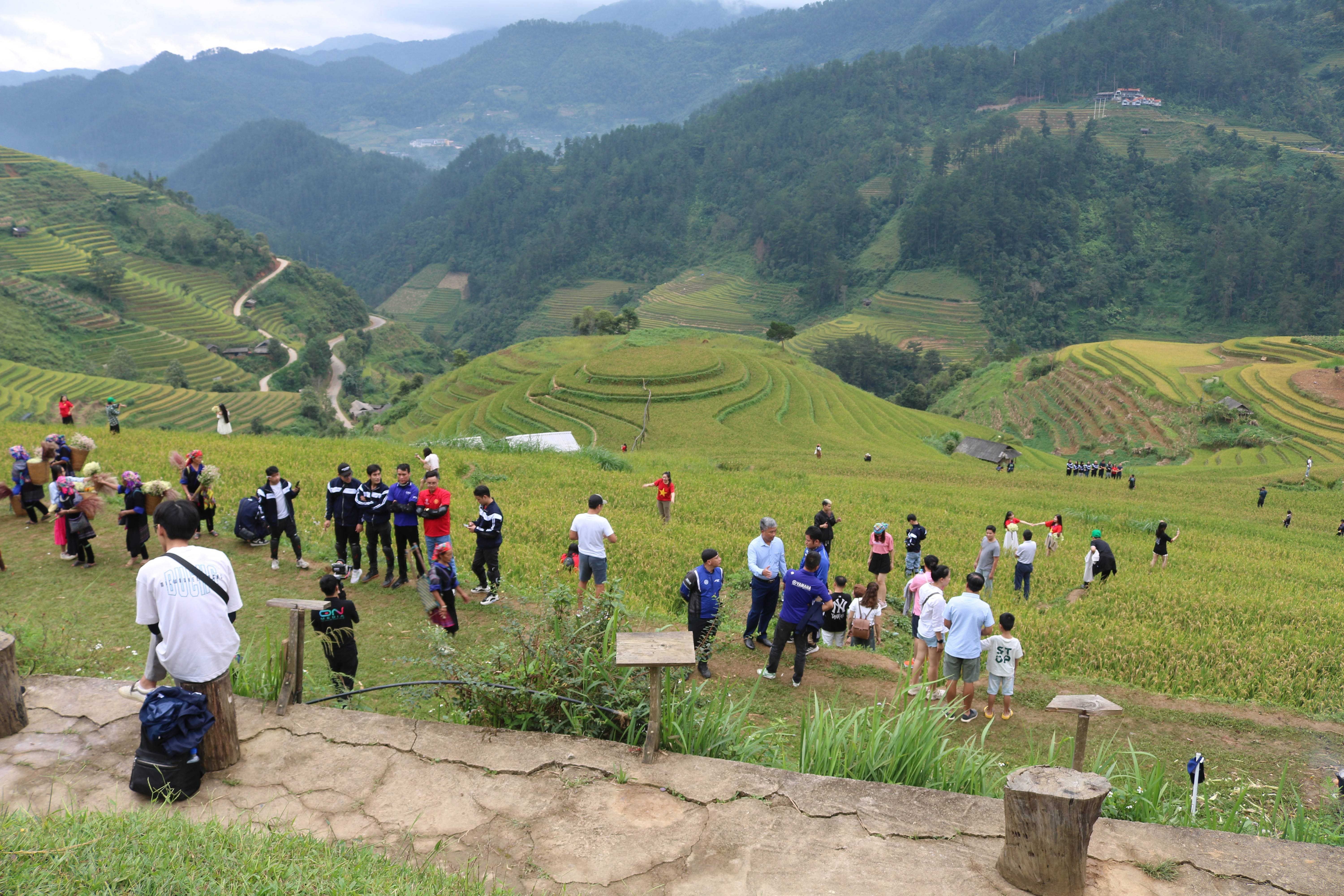 Lào Cai: Púng Luông đánh thức di sản ruộng bậc thang thành “mỏ vàng” du lịch