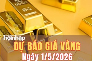 Dự báo giá vàng 1/5/2026: Giá vàng có thể tăng nhẹ