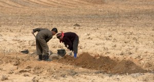 Triều Tiên đối mặt với hạn hán nghiêm trọng