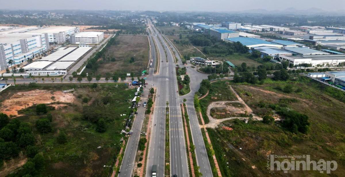 Phú Thọ đấu giá hơn 113ha đất năm 2026