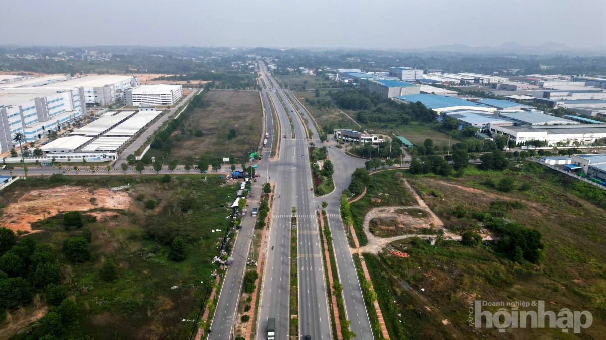 Phú Thọ đấu giá hơn 113ha đất năm 2026