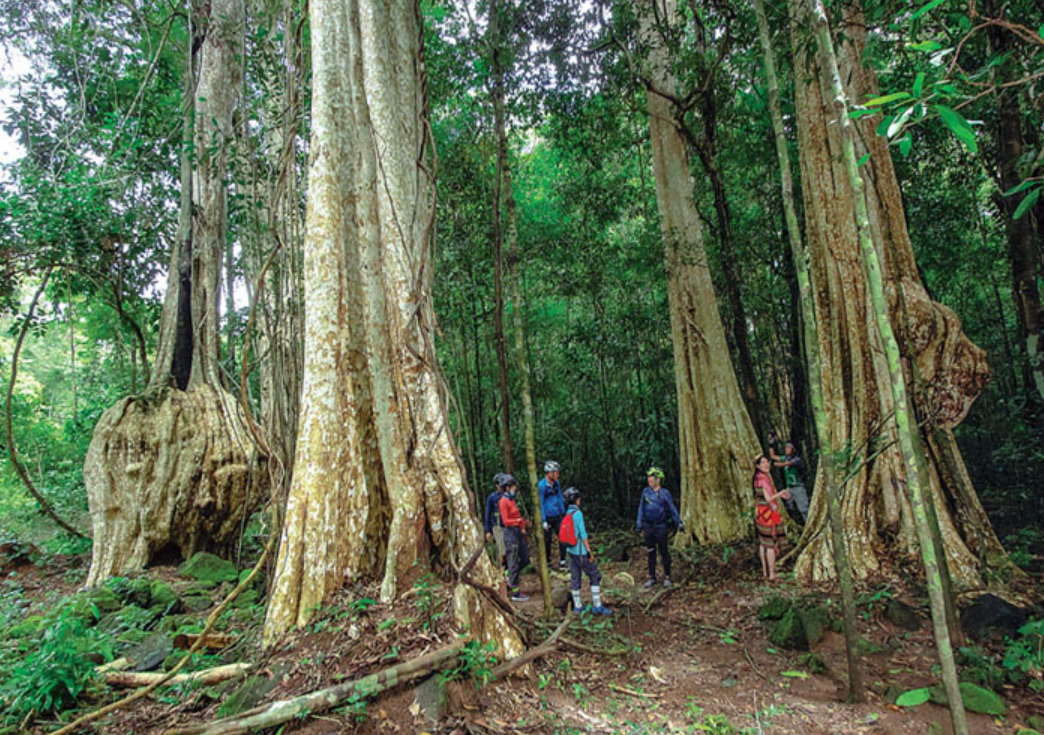 Du lịch Đồng Nai: “Mỏ vàng” chưa khai phá và bài toán kết nối hạ tầng