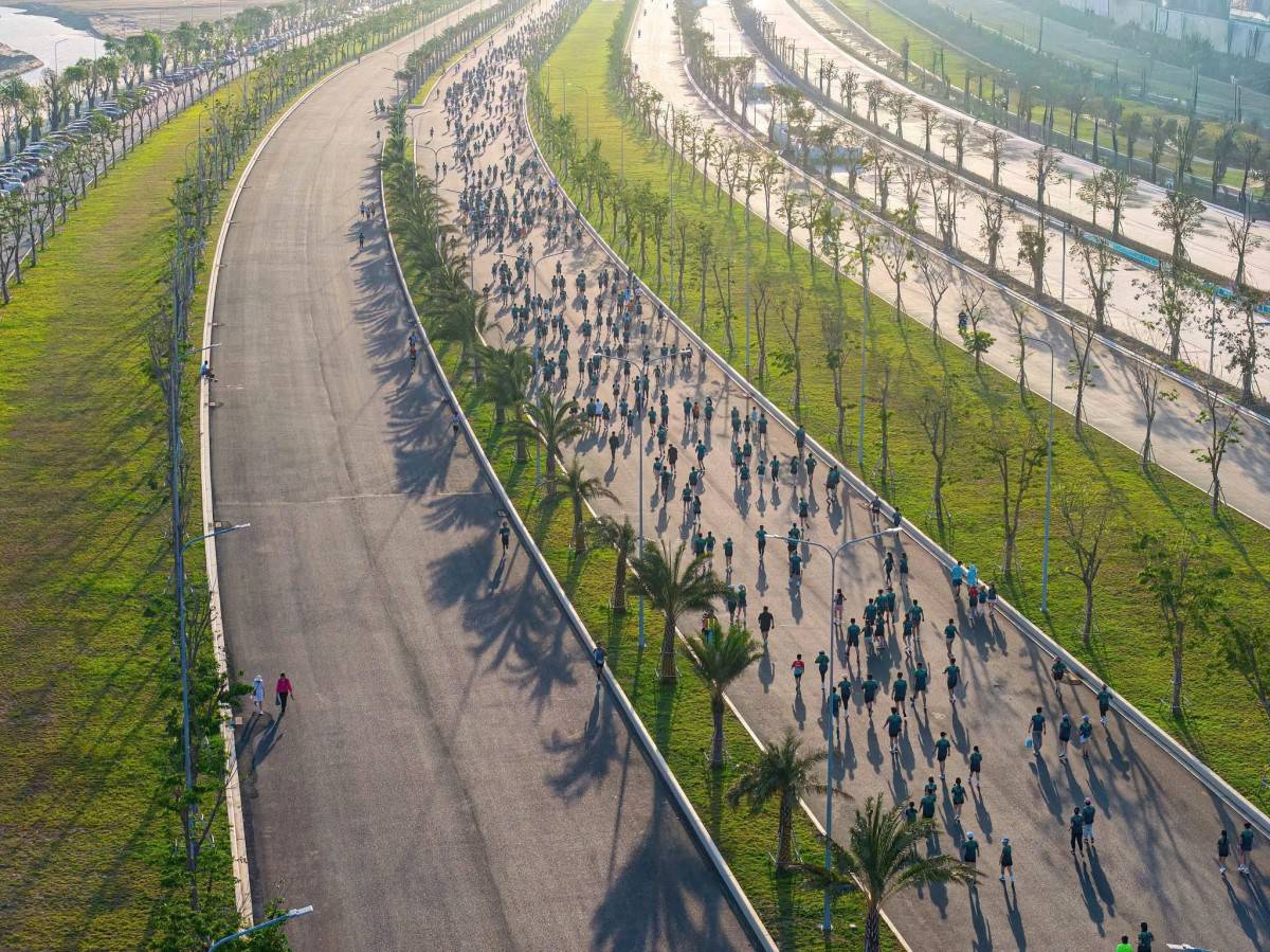 Cần Giờ lột xác thần tốc, đẹp mê hoặc trong ngày tranh tài VnExpress Marathon Green Paradise 2026
