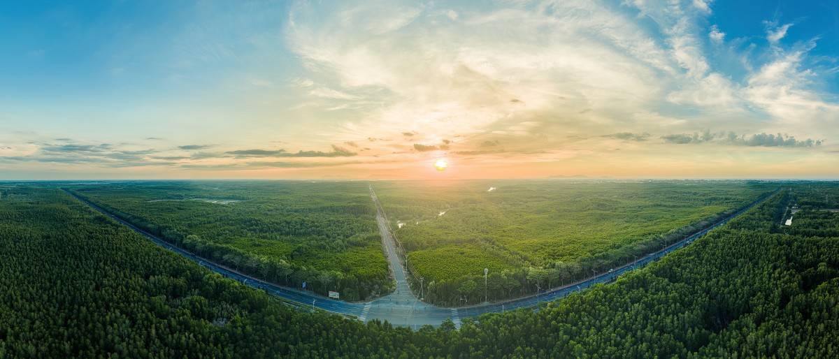 Cần Giờ lột xác thần tốc, đẹp mê hoặc trong ngày tranh tài VnExpress Marathon Green Paradise 2026