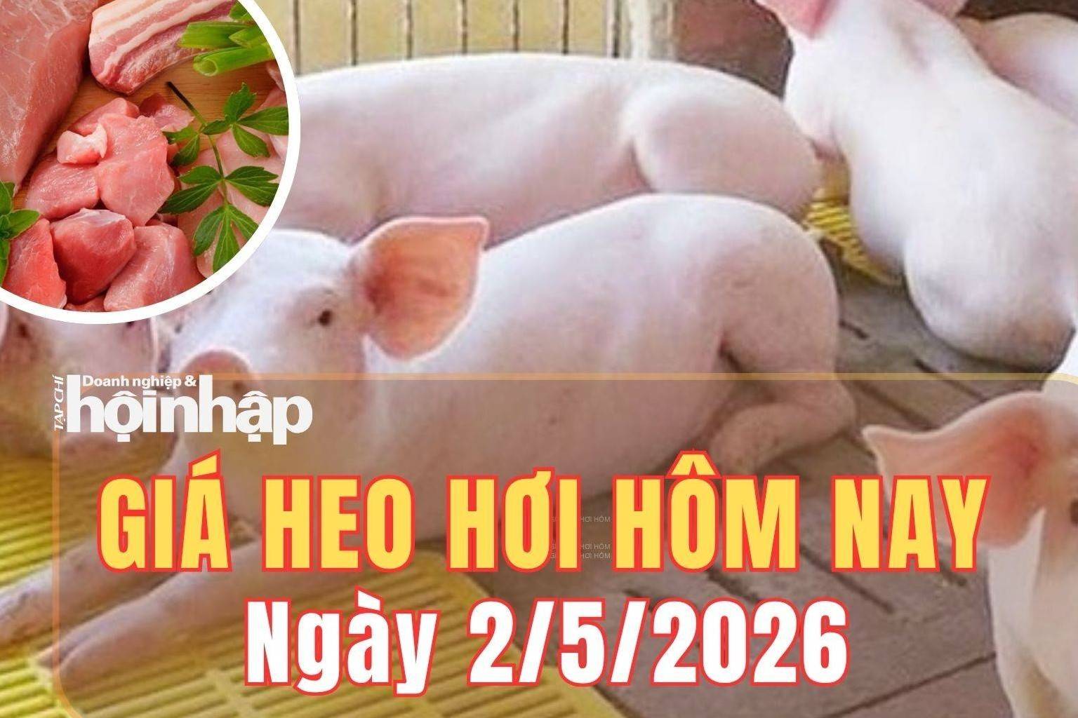 Giá heo hơi hôm nay 2/5/2026: Giá heo hơi đi ngang, dao động 63.000 – 69.000 đồng/kg