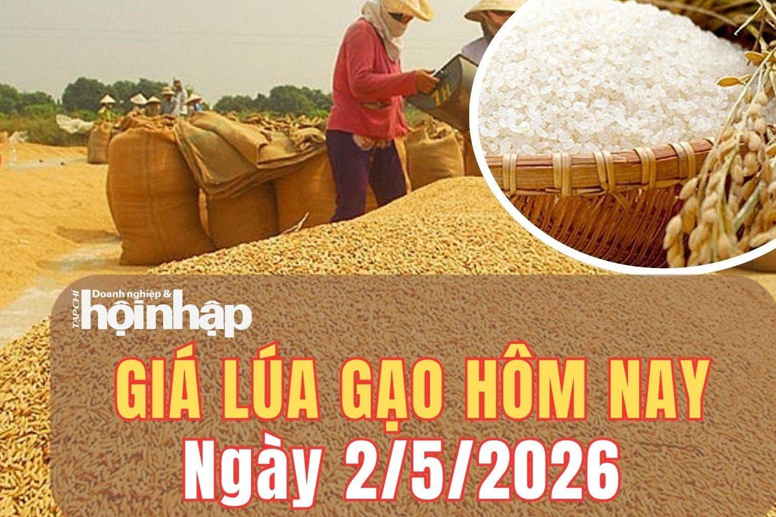 Giá lúa gạo hôm nay 2/5/2026: Giá lúa gạo duy tri ổn định, thị trường thế giới giằng co trái chiều