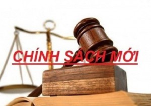 Doanh nghiệp cần đặc biệt lưu ý loạt chính sách kinh tế mới từ tháng 5/2026