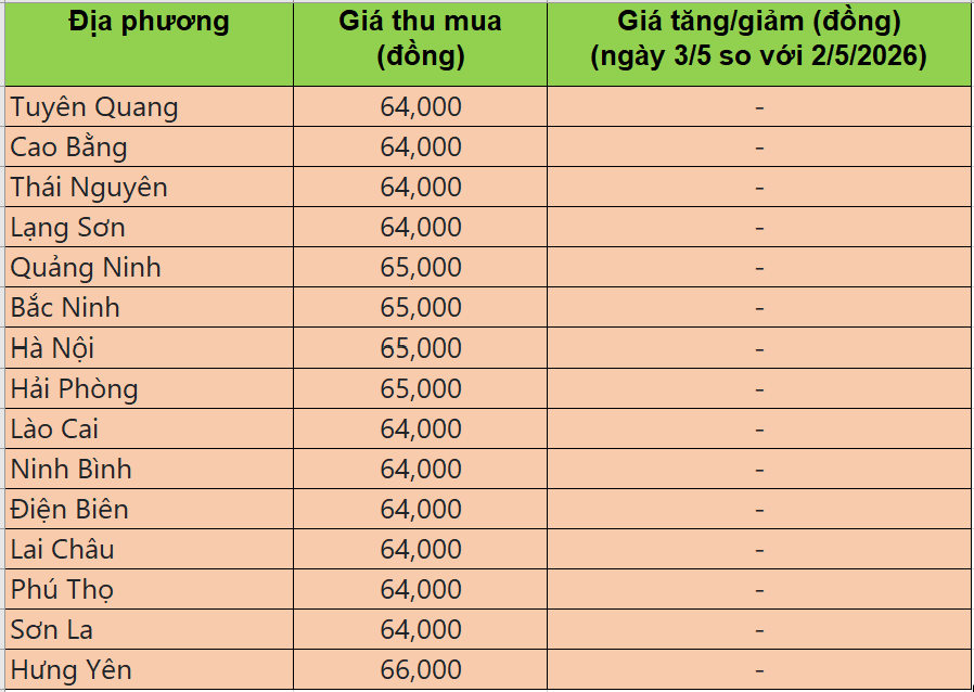giá heo hơi