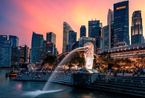 Người lao động Singapore thay đổi và thích nghi trước sự “lên hương” của AI