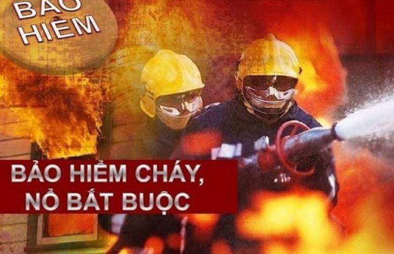 Năm 2026: Có một loại bảo hiểm bạn không mua sẽ bị phạt