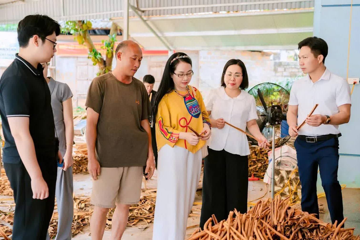 Lào Cai “kích hoạt” chương trình 1.000 doanh nghiệp tiên phong, tạo lực đẩy tăng trưởng giai đoạn mới