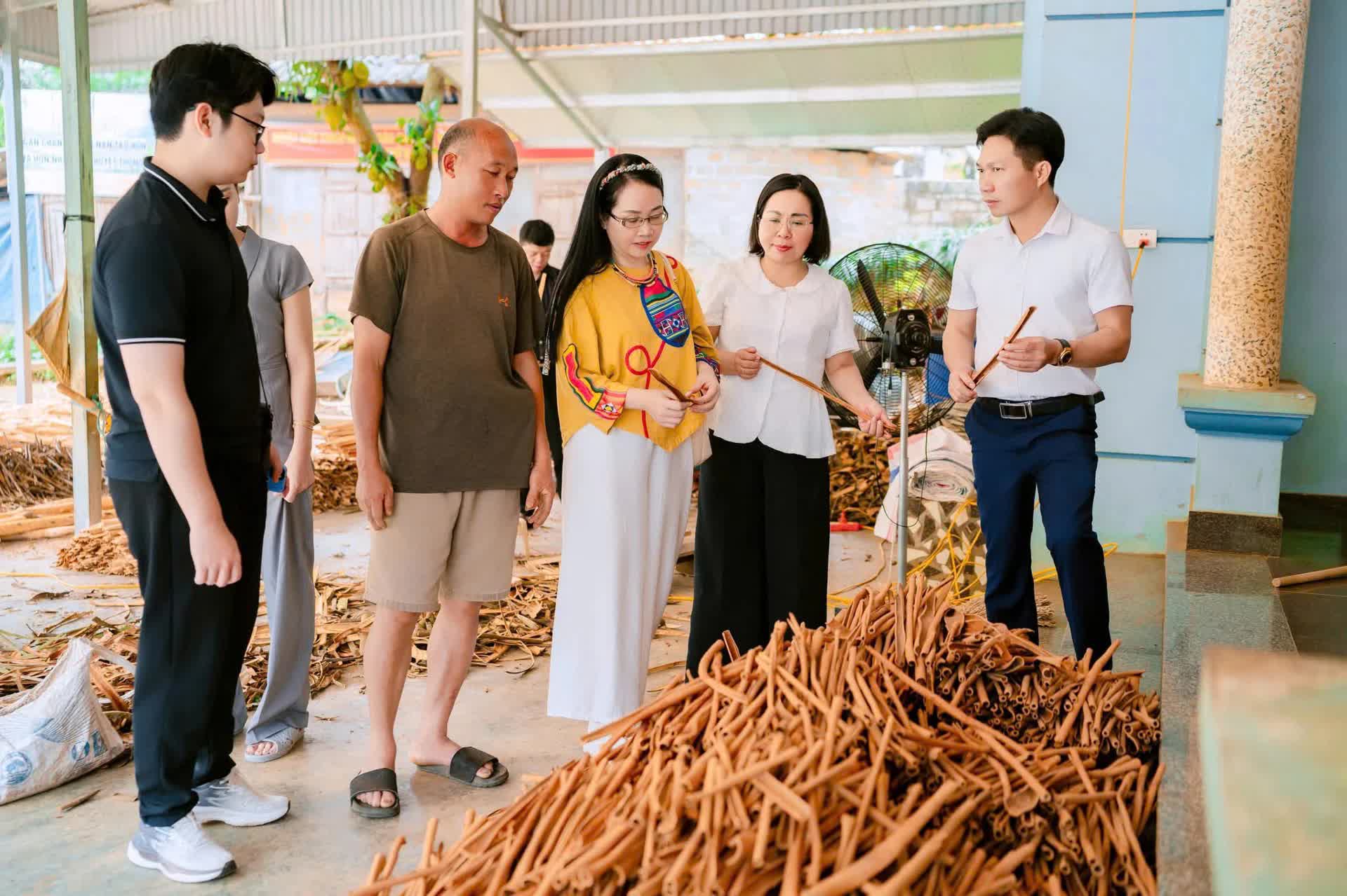 Lào Cai “kích hoạt” chương trình 1.000 doanh nghiệp tiên phong, tạo lực đẩy tăng trưởng giai đoạn mới