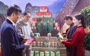 OCOP Tuyên Quang tạo đà nâng tầm nông sản, mở rộng thị trường trong nước và quốc tế