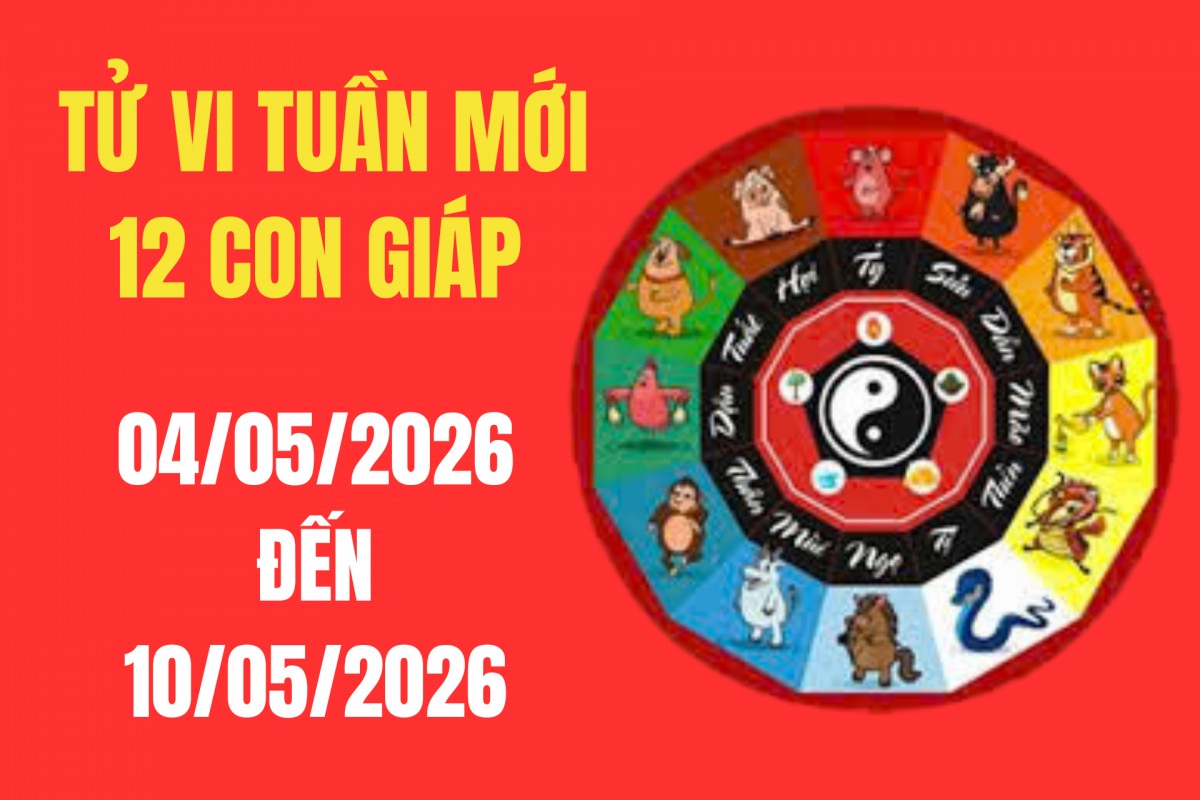 Tử vi tuần mới 12 con giáp từ 4/5 – 10/5/2026: Ai gặp quý nhân nâng đỡ, ai cần cẩn trọng thị phi tuần đầu tháng 5?